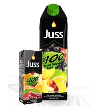 Juss 100% Mixed Fruit Juice 200 ml