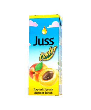 Juss Cooler Apricot Drink 200 ml