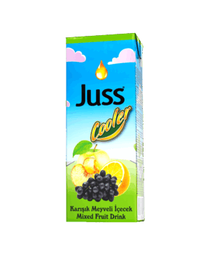 Juss Cooler Assorted Fruit Drink 200 ml