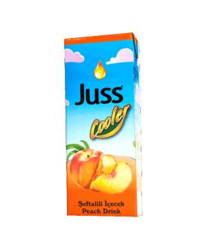Juss Cooler Peach Drink 200 ml