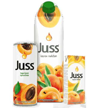 Juss Fruit Nectar Apricot 200 ml