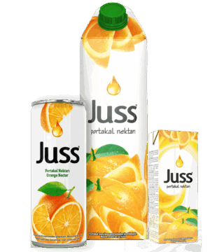 Juss Fruit Nectar Orange 200 ml