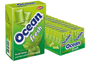 Saadet Ocean Fresh Spearmint Flavoured Sugared Dragee Gum 15 gr