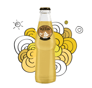 Uludağ Soda Legend Ginger 250 ml